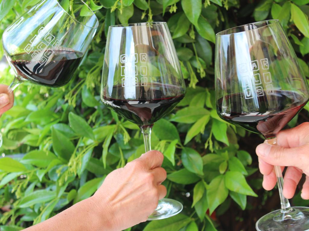 Calici di vino alzati nel giardino de La Caminella